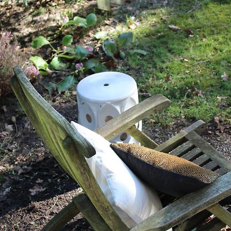 Sfeervol Vakantiehuisje In Bosrijke Omgeving Vorden Exterior foto