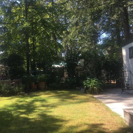 Sfeervol Vakantiehuisje In Bosrijke Omgeving Vorden Exterior foto