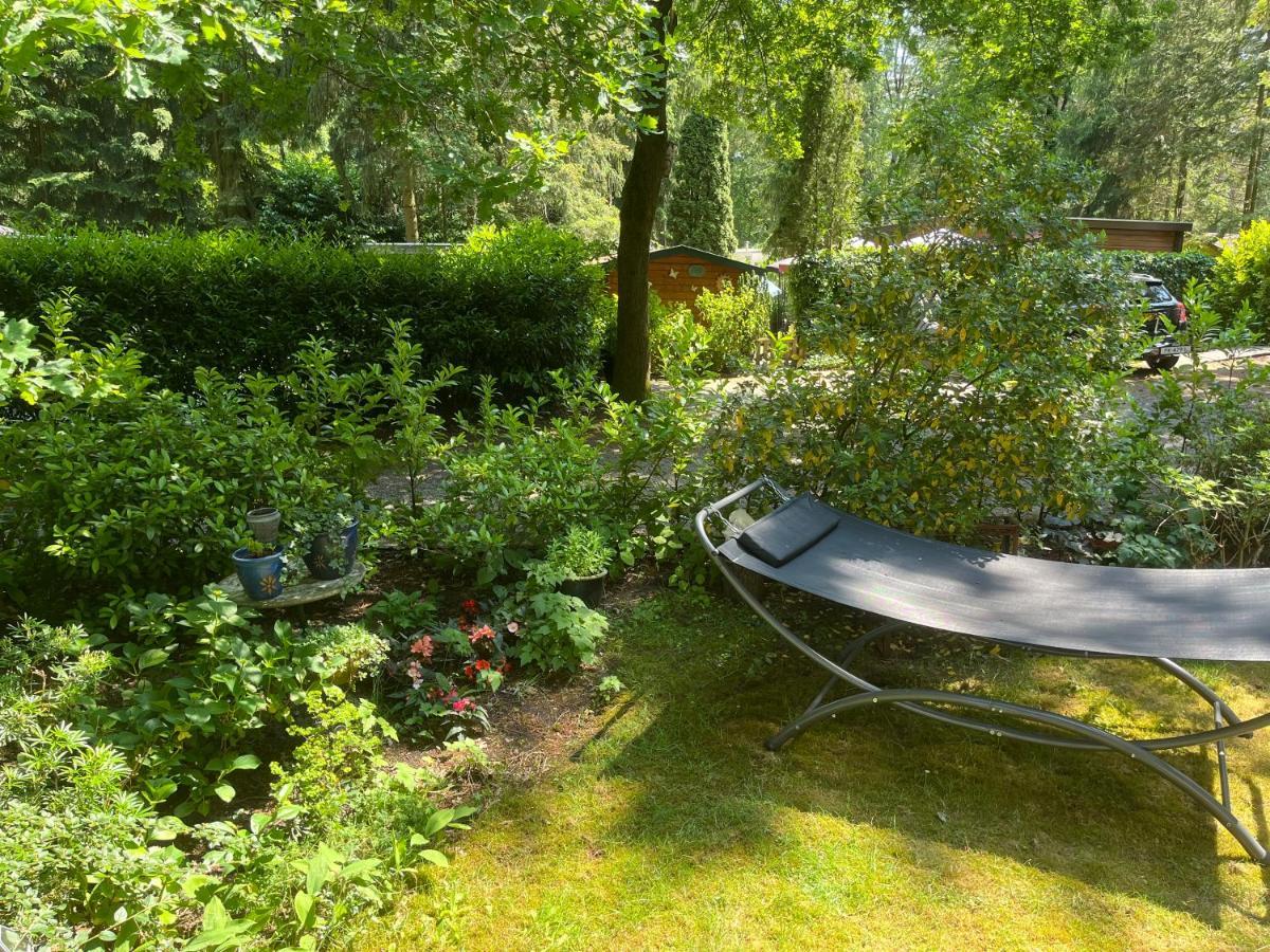 Sfeervol Vakantiehuisje In Bosrijke Omgeving Vorden Exterior foto